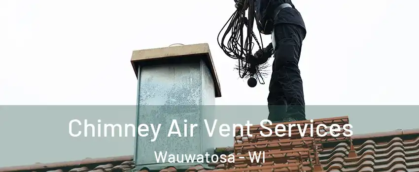  Chimney Air Vent Services Wauwatosa - WI