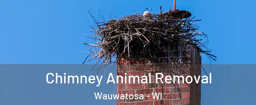  Chimney Animal Removal Wauwatosa - WI