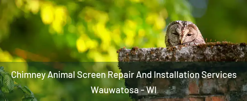  Chimney Animal Screen Repair And Installation Services Wauwatosa - WI