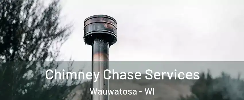  Chimney Chase Services Wauwatosa - WI