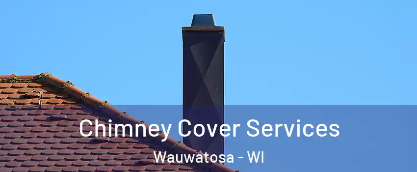  Chimney Cover Services Wauwatosa - WI