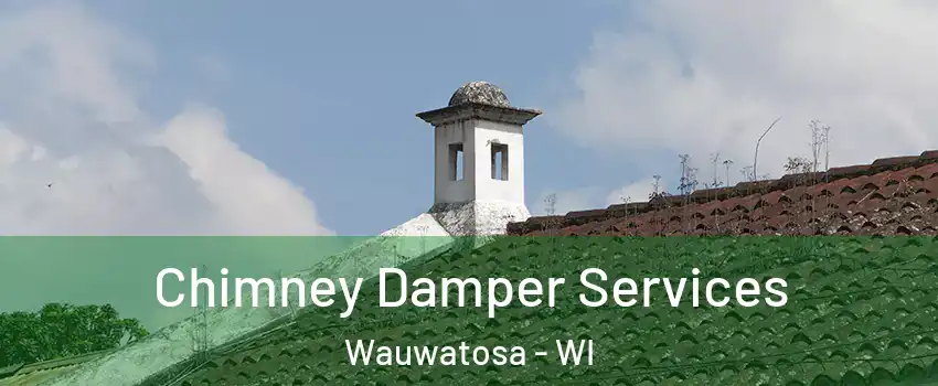  Chimney Damper Services Wauwatosa - WI