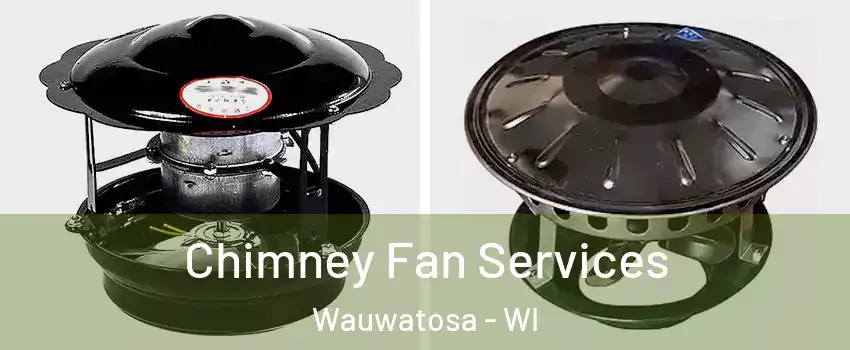  Chimney Fan Services Wauwatosa - WI