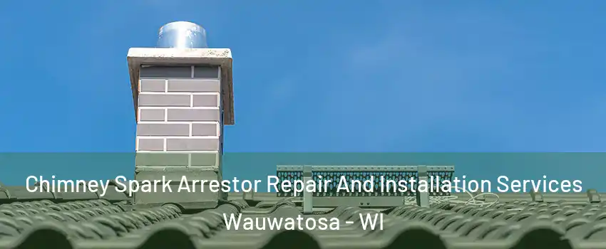  Chimney Spark Arrestor Repair And Installation Services Wauwatosa - WI