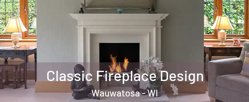  Classic Fireplace Design Wauwatosa - WI