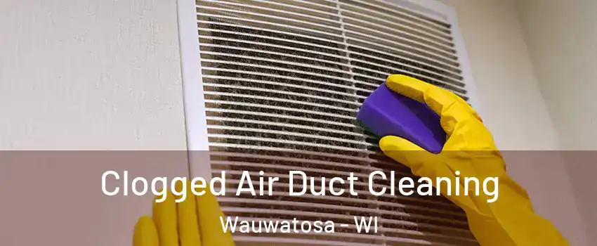  Clogged Air Duct Cleaning Wauwatosa - WI