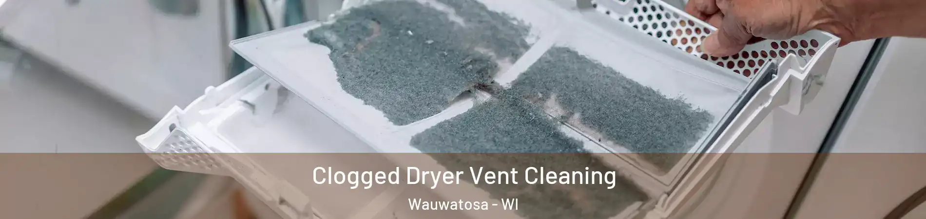  Clogged Dryer Vent Cleaning Wauwatosa - WI
