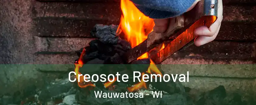  Creosote Removal Wauwatosa - WI