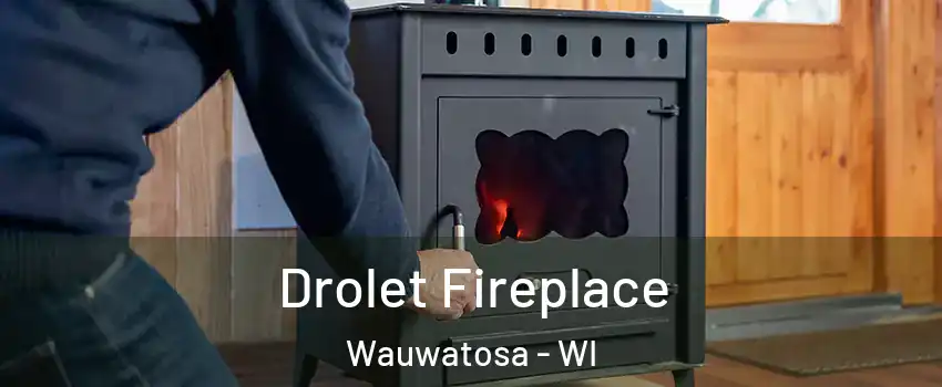  Drolet Fireplace Wauwatosa - WI