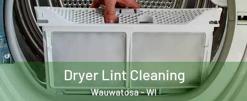  Dryer Lint Cleaning Wauwatosa - WI