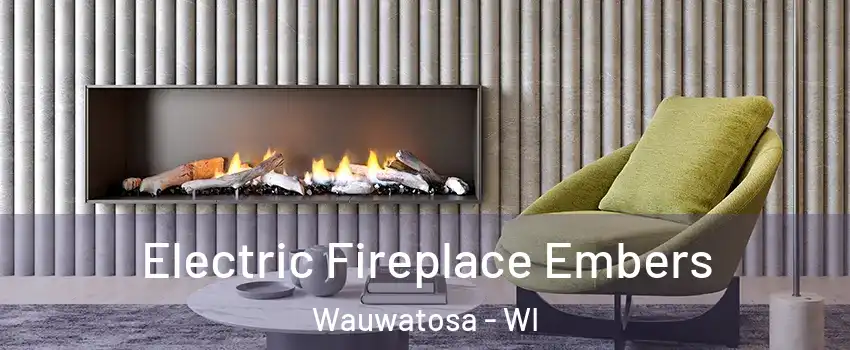  Electric Fireplace Embers Wauwatosa - WI