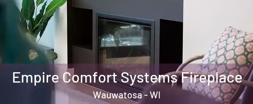  Empire Comfort Systems Fireplace Wauwatosa - WI