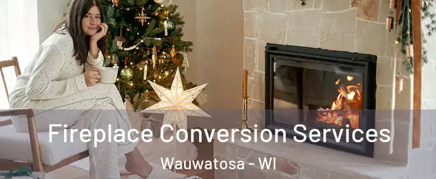  Fireplace Conversion Services Wauwatosa - WI