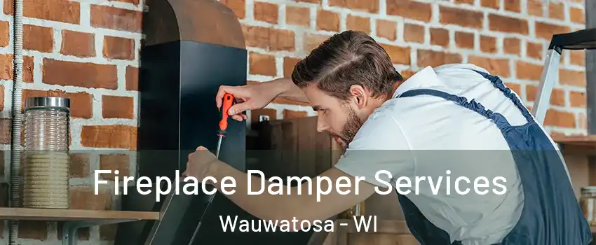  Fireplace Damper Services Wauwatosa - WI