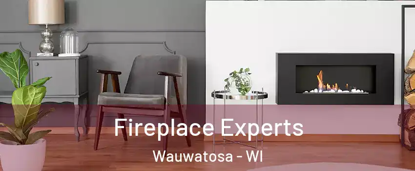  Fireplace Experts Wauwatosa - WI