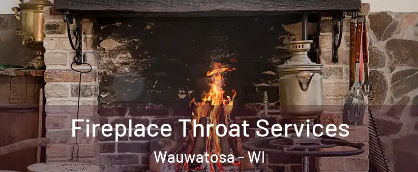  Fireplace Throat Services Wauwatosa - WI