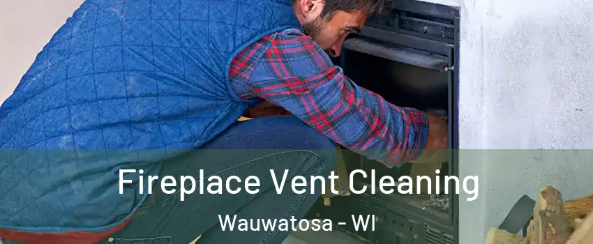  Fireplace Vent Cleaning Wauwatosa - WI
