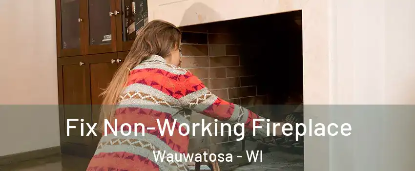  Fix Non-Working Fireplace Wauwatosa - WI