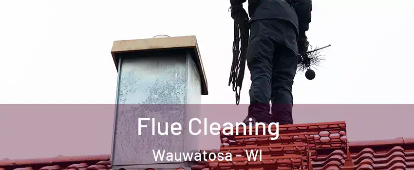  Flue Cleaning Wauwatosa - WI