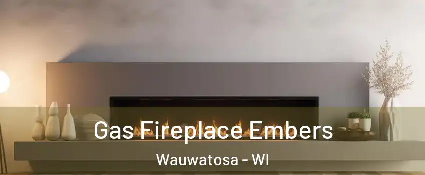  Gas Fireplace Embers Wauwatosa - WI