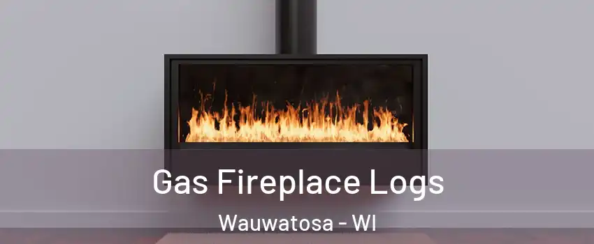  Gas Fireplace Logs Wauwatosa - WI