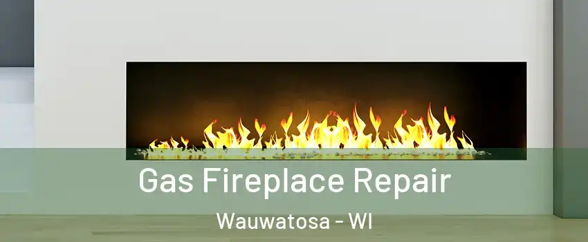  Gas Fireplace Repair Wauwatosa - WI
