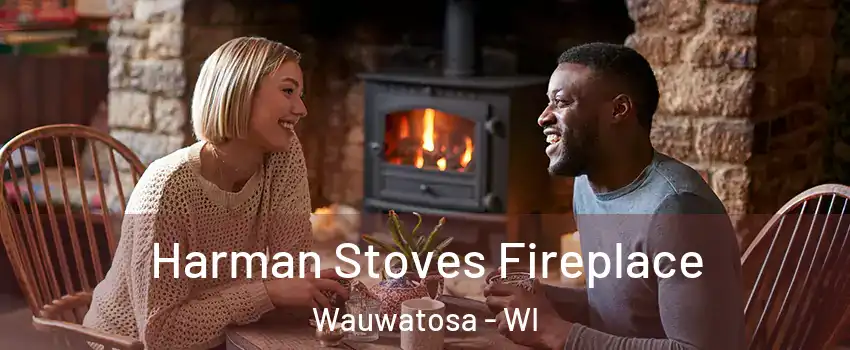  Harman Stoves Fireplace Wauwatosa - WI