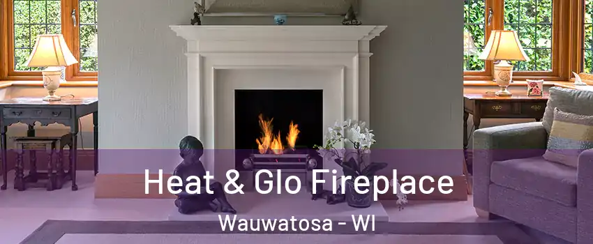  Heat & Glo Fireplace Wauwatosa - WI