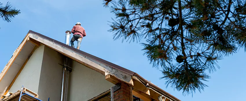Birds Removal Contractors from Chimney in Wauwatosa, WI