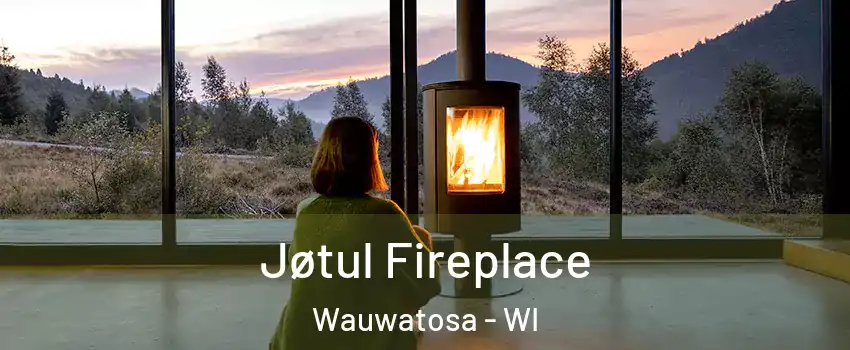  Jøtul Fireplace Wauwatosa - WI