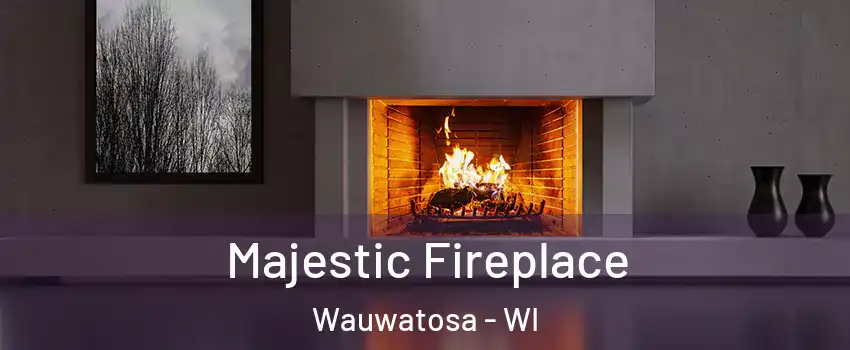  Majestic Fireplace Wauwatosa - WI