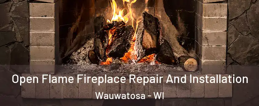  Open Flame Fireplace Repair And Installation Wauwatosa - WI