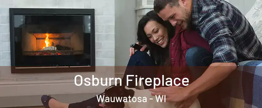  Osburn Fireplace Wauwatosa - WI