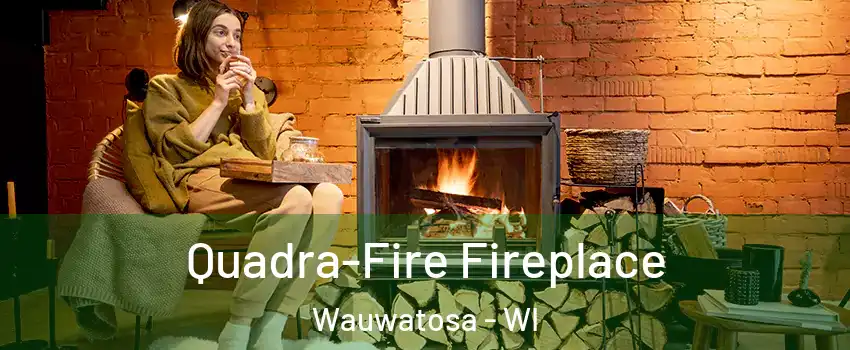  Quadra-Fire Fireplace Wauwatosa - WI
